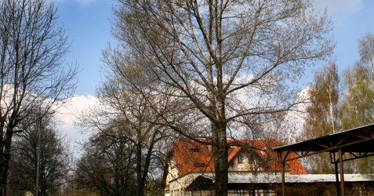 Rajd Świdnicki